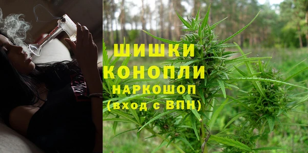 мдпв Лабытнанги