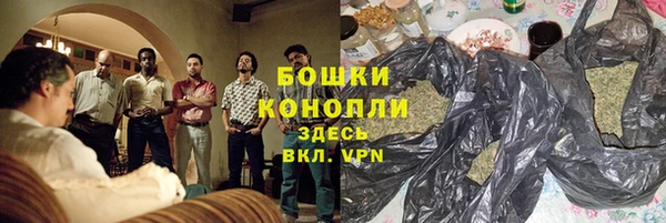 молекула духа Пенза