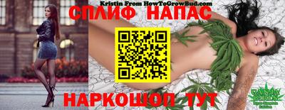 гидра Балашиха