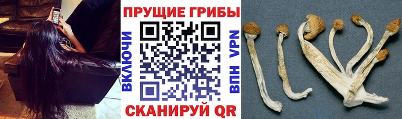 Галлюциногенные грибы мицелий Нефтеюганск