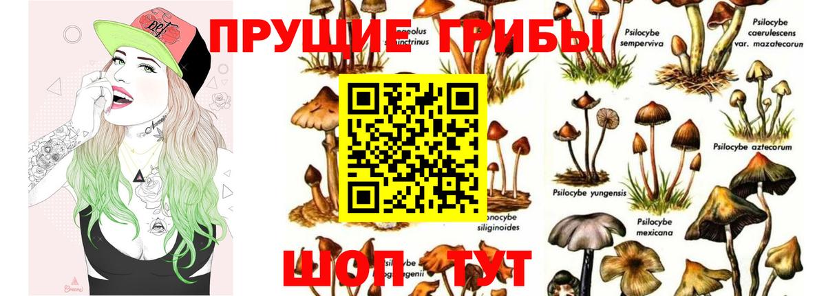 Галлюциногенные грибы мухоморы Нефтеюганск